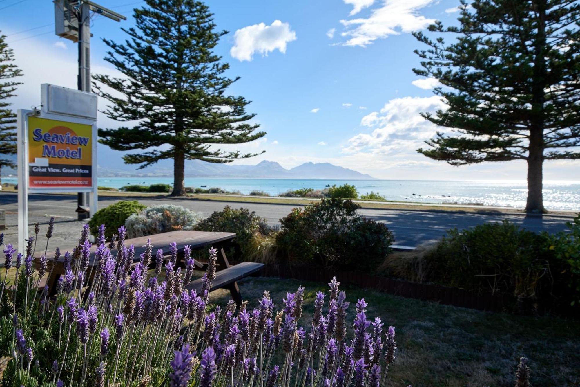 Sea View Motel - Unit 5 Kaikoura Extérieur photo